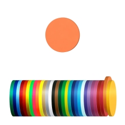 Wertchip Ø 23,3 mm / Einkaufswagenchip ohne Loch Orange